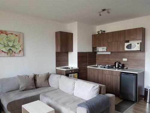 Royal Bansko Aparthotel 206d
