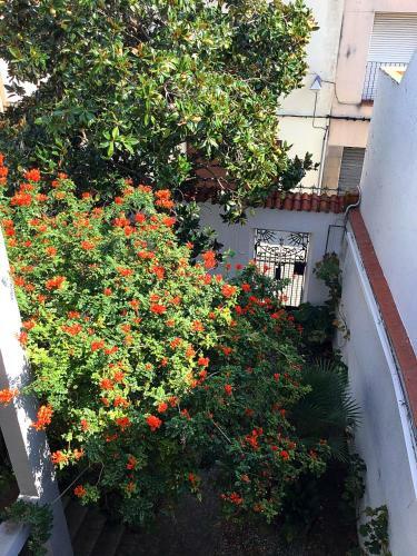 Apartamento Vistas Privilegiadas