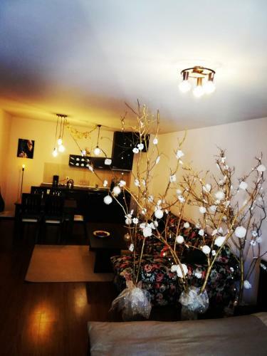 Apartamento Mountaineers' Joy 150m To Ski Lift