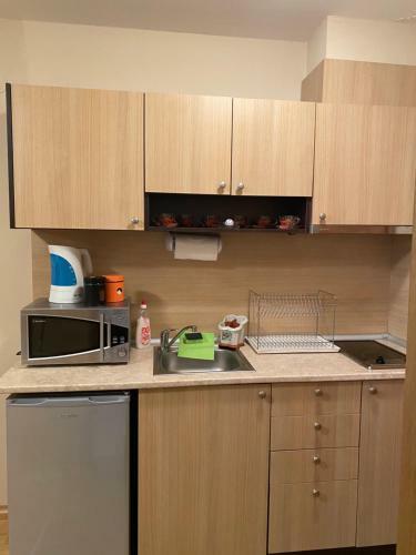 Aspen Suits Studio Apartment