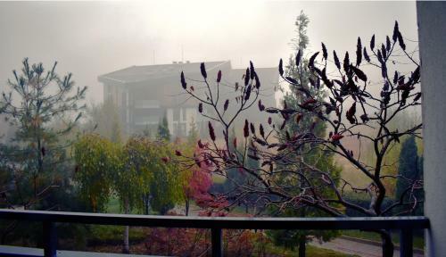 Hotel Aspen Ski And Golf Resort