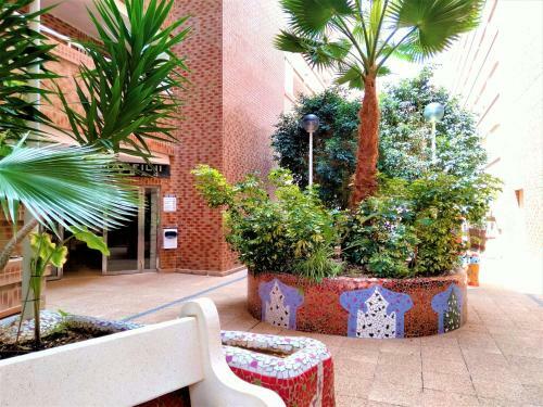 Apartamento Acv - Costa Marfil Ii-2� Linea Planta 2 Norte