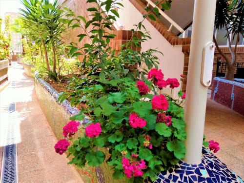 Apartamento Acv - Costa Marfil Ii-2� Linea Planta 2 Norte