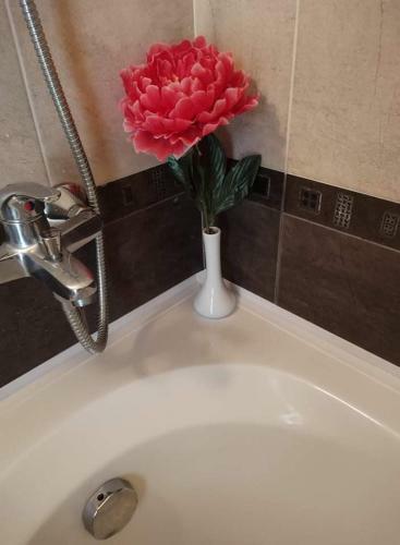Private Apartment 301? ?? In Aspen Resort Golf, Ski And Spa