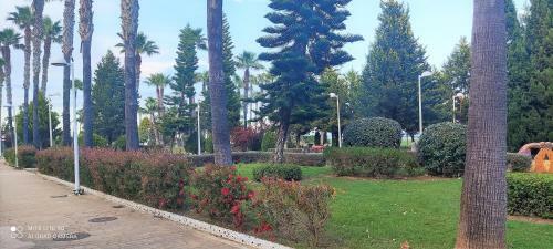 Apartamento Acv - Costa Marina Iii-1� Linea Planta 2 Sur