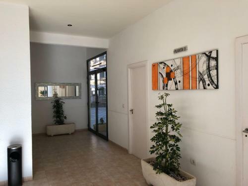 Apartamento Las Terrazas - Primera Linea De Playa Con Netflix