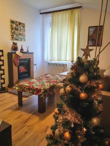 Apartamento Banski Home