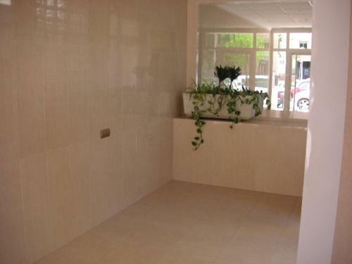 Apartamentos Palmavera