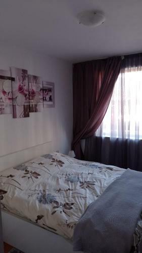 Belvedere Holidey Club Apartment