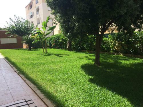 Apartamento Oropesa Del Mar I