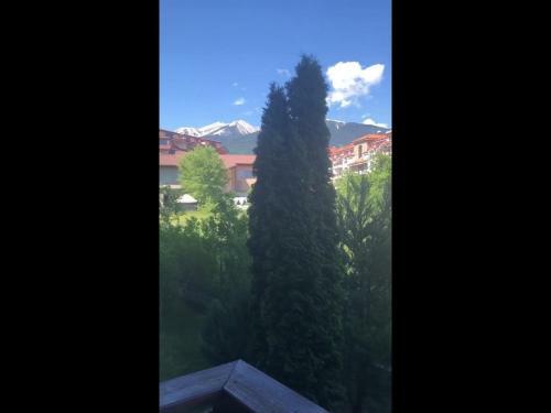 Apartamento Authentic Cedar Lodge Studio Near Ski Lift