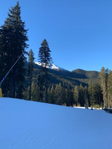 Beautiful Cosy Studio Apartment In Bansko