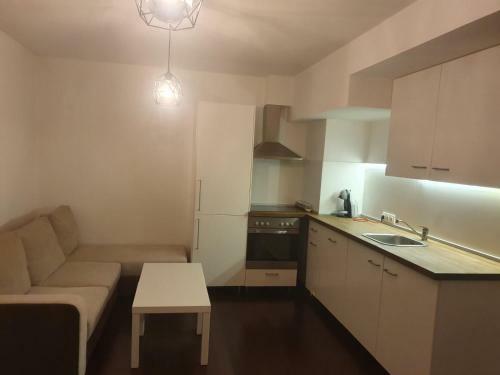 The White Apartment At The Ski