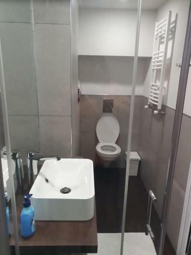 The White Apartment At The Ski