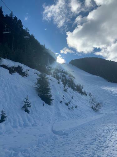 Bed & Breakfast Studio Flat Bansko