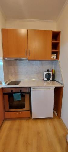 Apartamento "the Green" ,with Private Underground Parking Next To Gondola