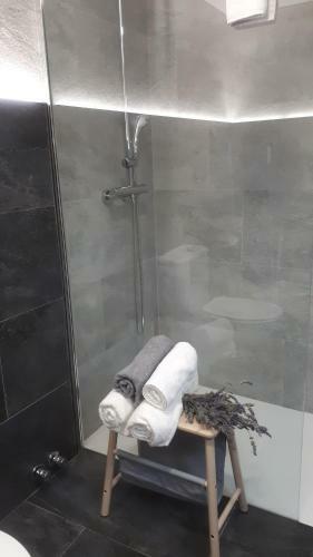 Cal Dalmau Apartaments Atic