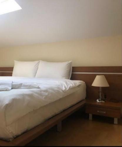 Dolomiti Apartments