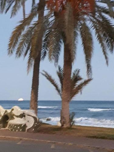 Apartamento En Marina D'or Primera Linea Real