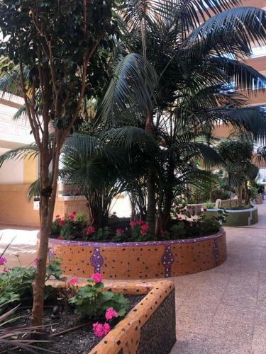 Apartamento Costa Caribe