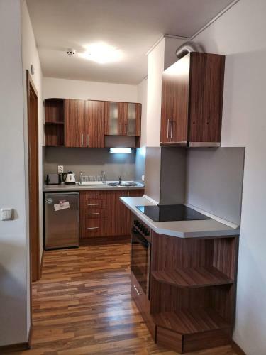 Apartamento Double Studio Near Ski Lift - Bansko