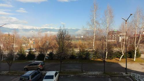 Apartament Francis