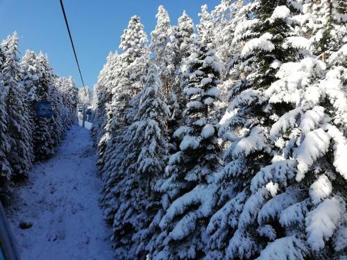 Apartamento Bansko Winslow Infinity - Studio