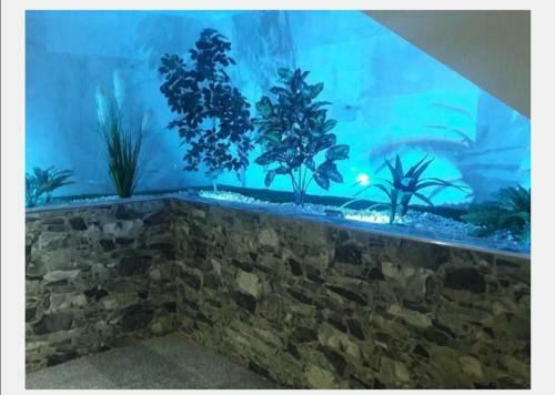 Apartamento Marina Dor � Fantastica Oportunidad !