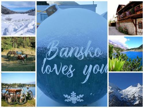 Discovery Apartment Bansko