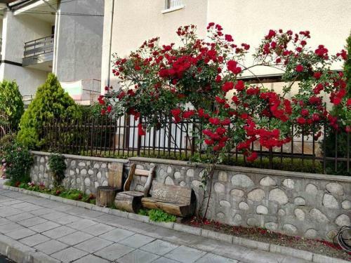 Discovery Apartment Bansko