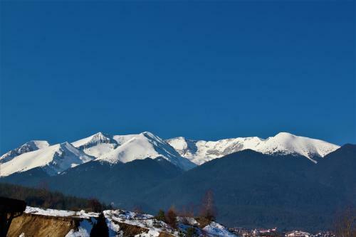 Apartamento Cozy 1 Bedroom Self-catering Fully Equipped Flat In St Ivan Rilski Complex Bansko With Free Spa Services