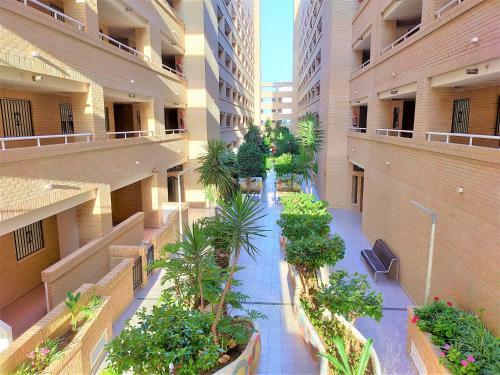 Apartamento Acv - Neptuno - 2 Linea Planta 3 Norte