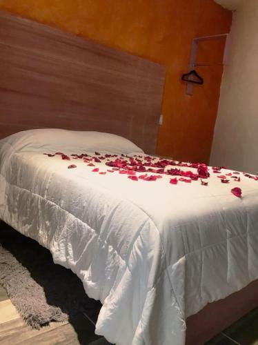 Hotel Hai Do