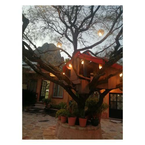 Hotel Casa Del Arbol