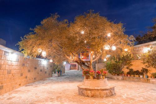 Hotel Casa Del Arbol