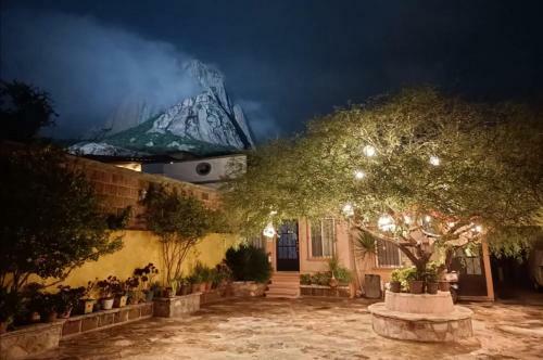 Hotel Casa Del Arbol