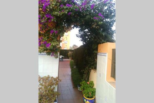 Apartamento Trebol - Beach Morro De Gos