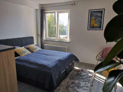 Apartamento Cozy Studio Cik-cak