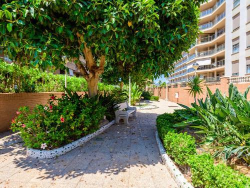Apartment Vistamar III Primera L�nea