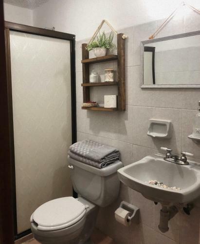 Mermaid Apartment With Pool & Parking In Boca Del Rio