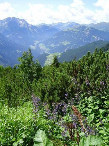 Apartamento Appartementhaus Angelika