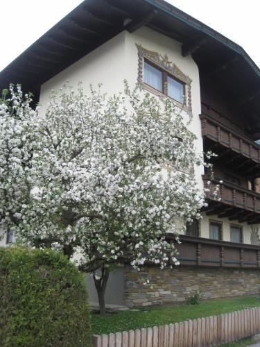 Posada G�stehaus Braunegger