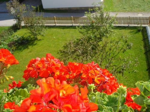 Apartamento Haus Bianca