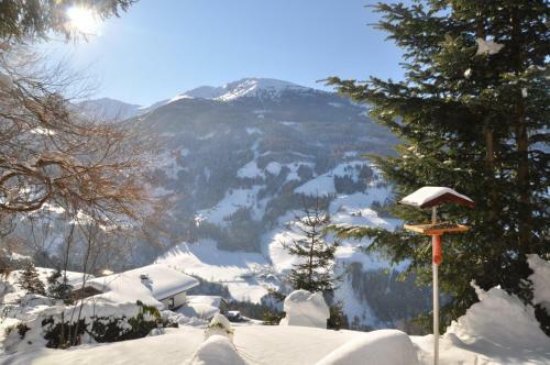 Chalet Edelweiss
