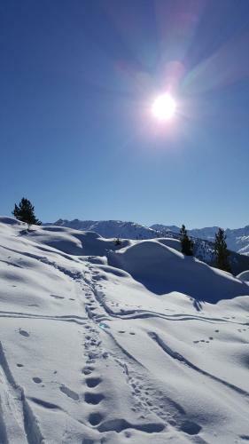 Chalet Edelweiss