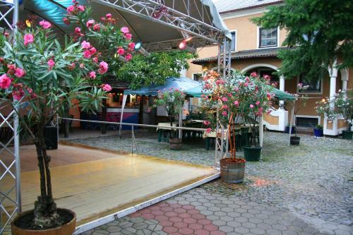 Hotel Turmhof Breitenbrunn