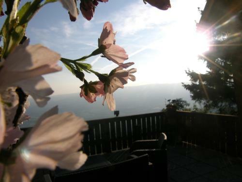 Hotel Garni G�stehaus Karin