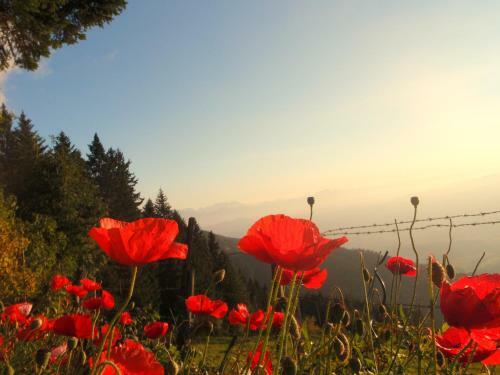 Hotel Garni G�stehaus Karin