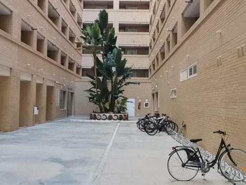 Apartamento Am, Marina Dor 1 Linea