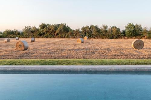 Bed & Breakfast Can Casi House Farm